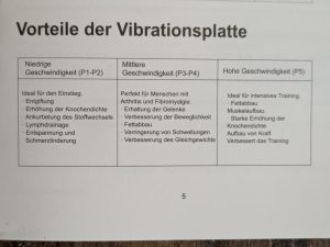 Anleitung der FLYBIRD Mini Vibrationsplatte (5)