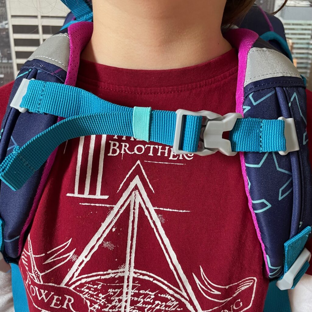 SCOUT Basic Genius Schulranzen Gurte