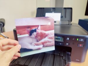 Canon PIXMA TS705a Tintenstrahldrucker Ergebnis Fotodruck