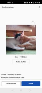 Canon PIXMA TS705a Tintenstrahldrucker App Druckvorschau