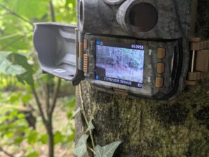 DEATTI DET T4 Wildkamera Display in Benutzung