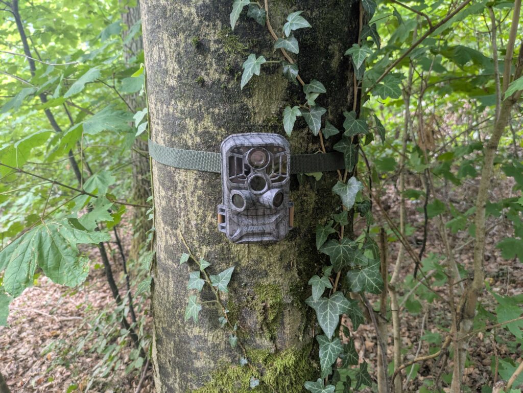 DEATTI DET T4 Wildkamera Titelbild (2)