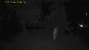 Haza PR800 Wildkamera Nachtaufnahme