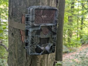 Haza PR800 Wildkamera Titelbild