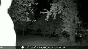 Maxdone PH970S Wildkamera Nachtaufnahme