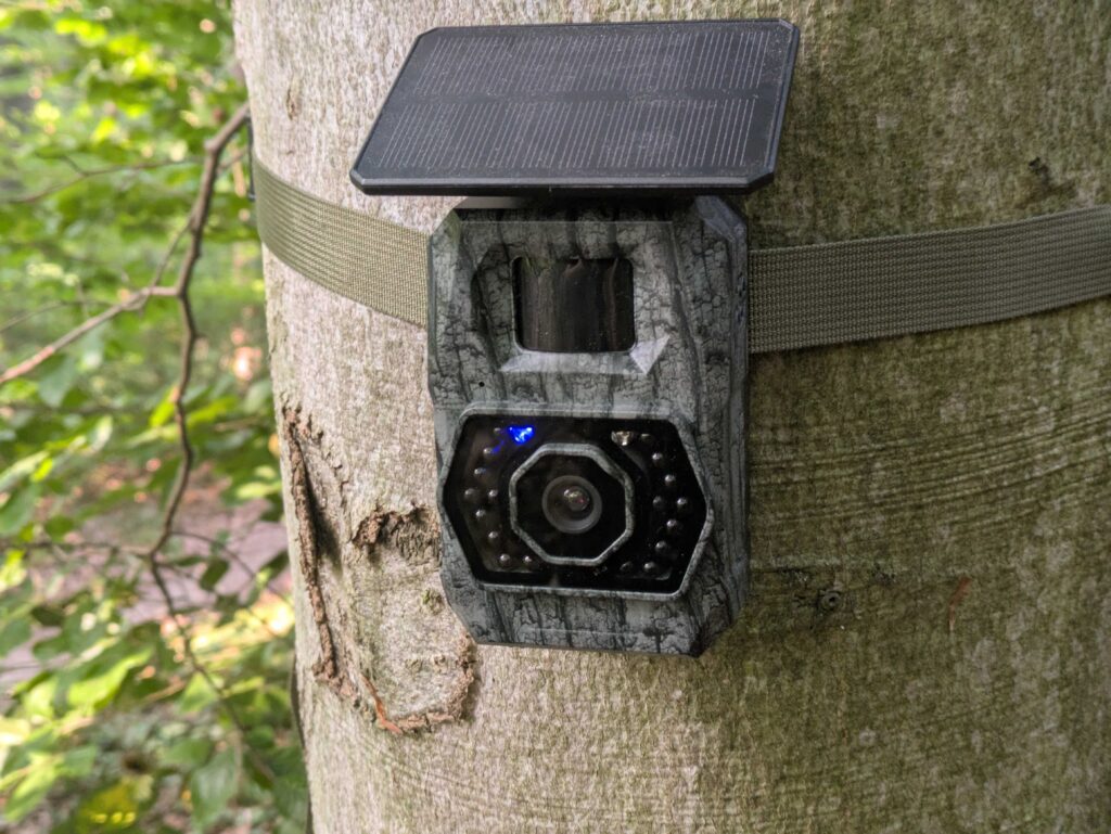 Maxdone PH970S Wildkamera Titelbild (2)