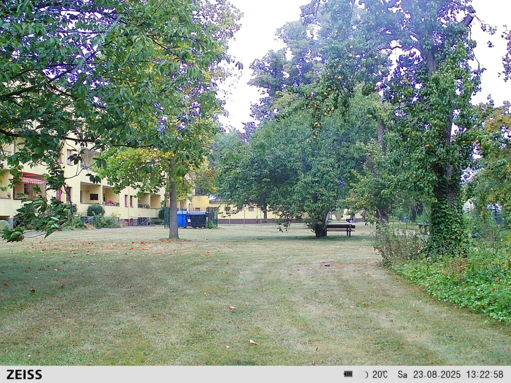 Zeiss Secacam 5 Wildkamera Tagaufnahem