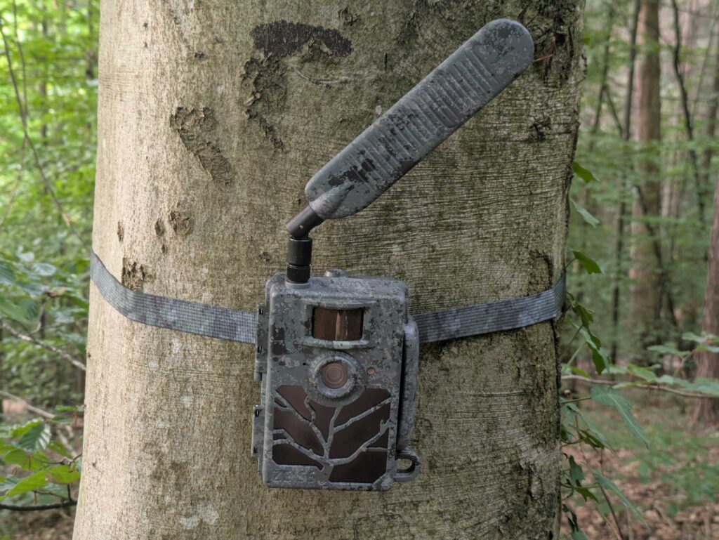 Zeiss Secacam 5 Wildkamera Titelbild