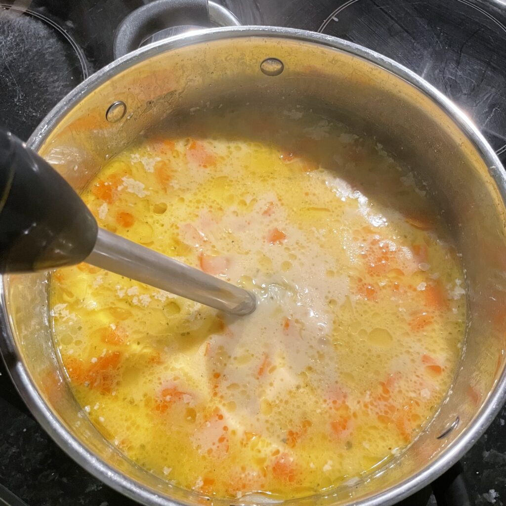 AEG HB4-1-4GG Stabmixer Test
