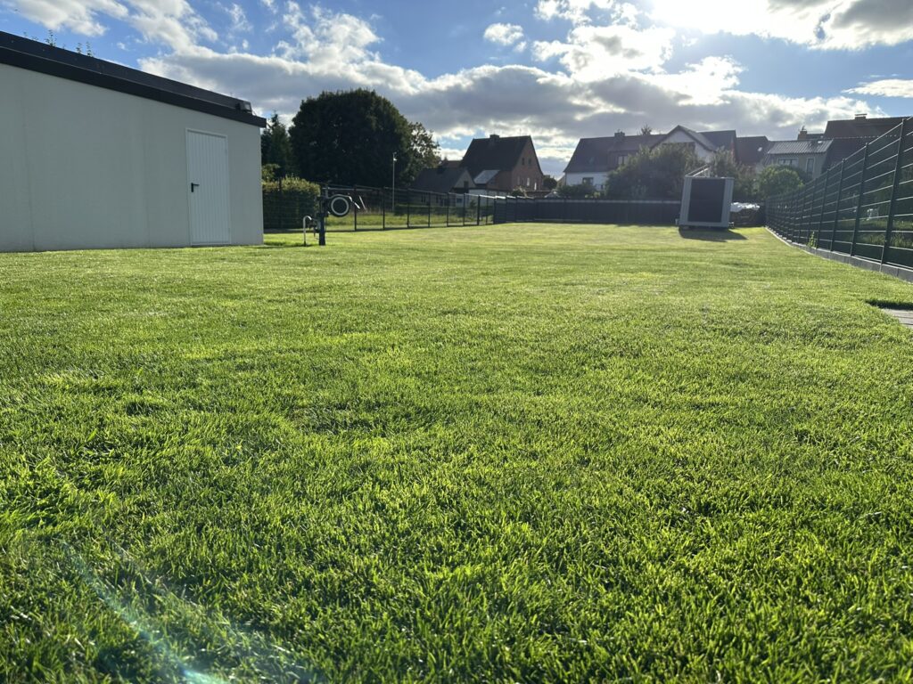 Rasenbild des ECOVACS Goat A3000 LiDAR Mähroboters vorher