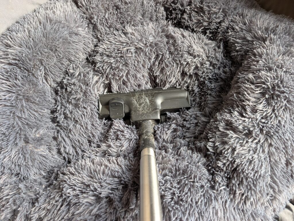 Rowenta Compact Power Staubsauger Hundekissen saugen, statische Aufladung