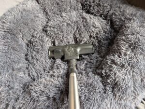 Rowenta Compact Power Staubsauger Hundekissen saugen, statische Aufladung