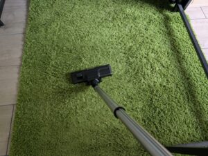 Rowenta Compact Power XXL Classic Staubsauger Saugen auf Teppich