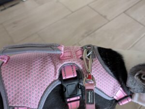 BELPRO Mehrzweck-Hundegeschirr mit Leine