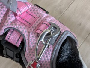 BELPRO Mehrzweck-Hundegeschirr mit Leine Detail