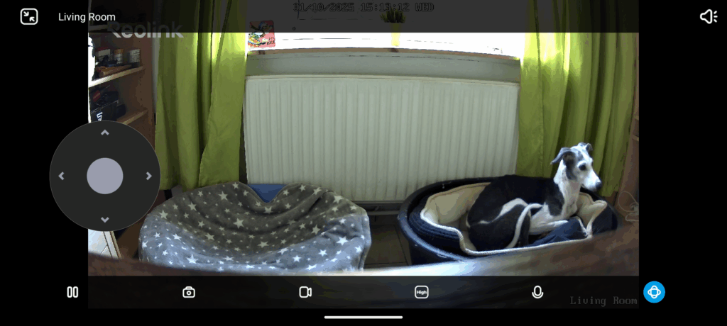 Reolink E1 Pro Überwachungskamera Bild tagsüber mit Steuerung 3