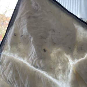 Bruno Bärenweich Bettdecke Daunen nach dem Waschen