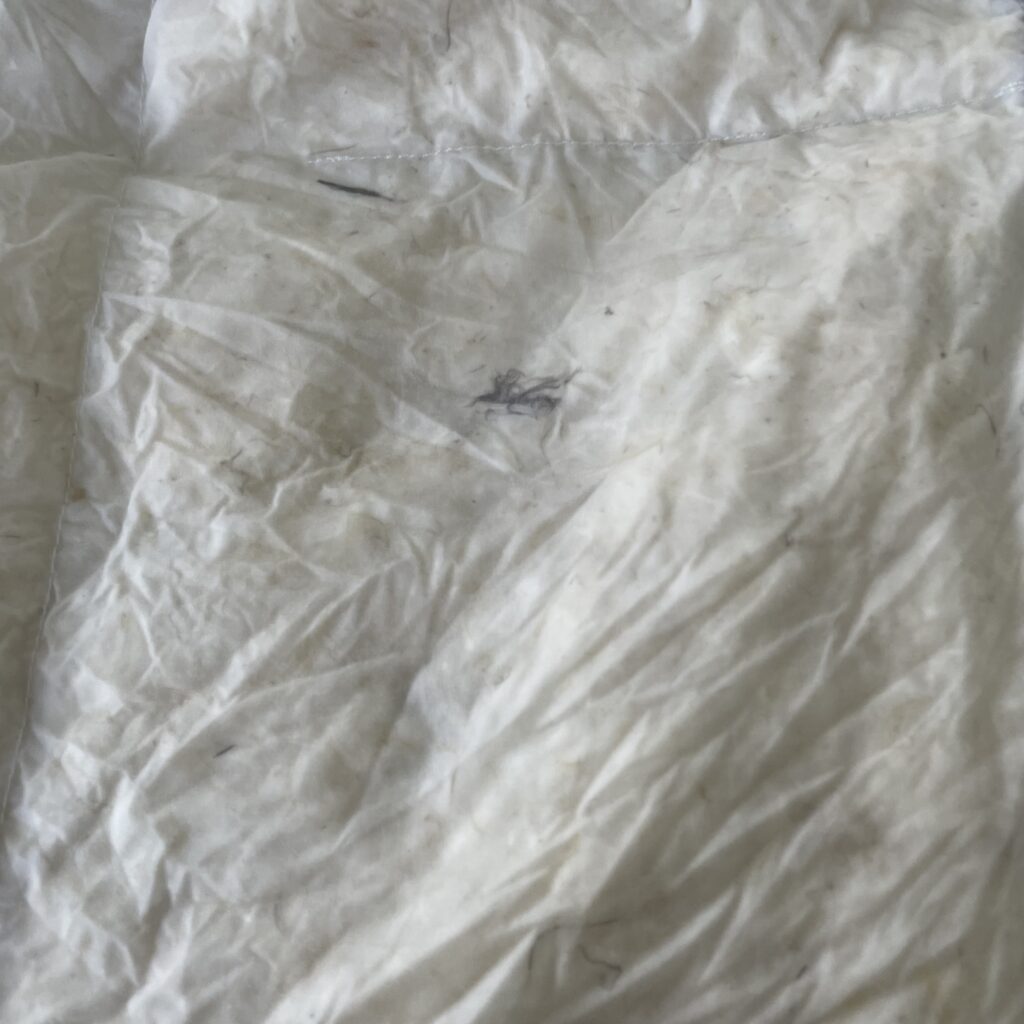 Bruno Bärenweich Bettdecke nach dem Waschen