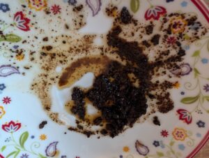 CASO Coffee Compact electronic Kaffeemaschine mit Mahlwerk gemahlene Bohnen nach dem Brühen