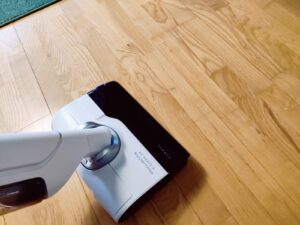 Rowenta X-Clean 10 GZ7540WO Nass-Trockensauger Saugergebnis