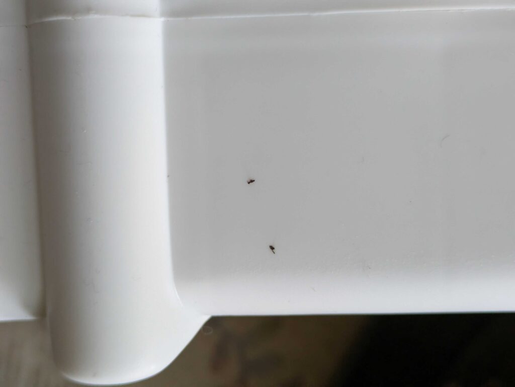 Clartronic HL3838 Heizlüfter braune Flecke