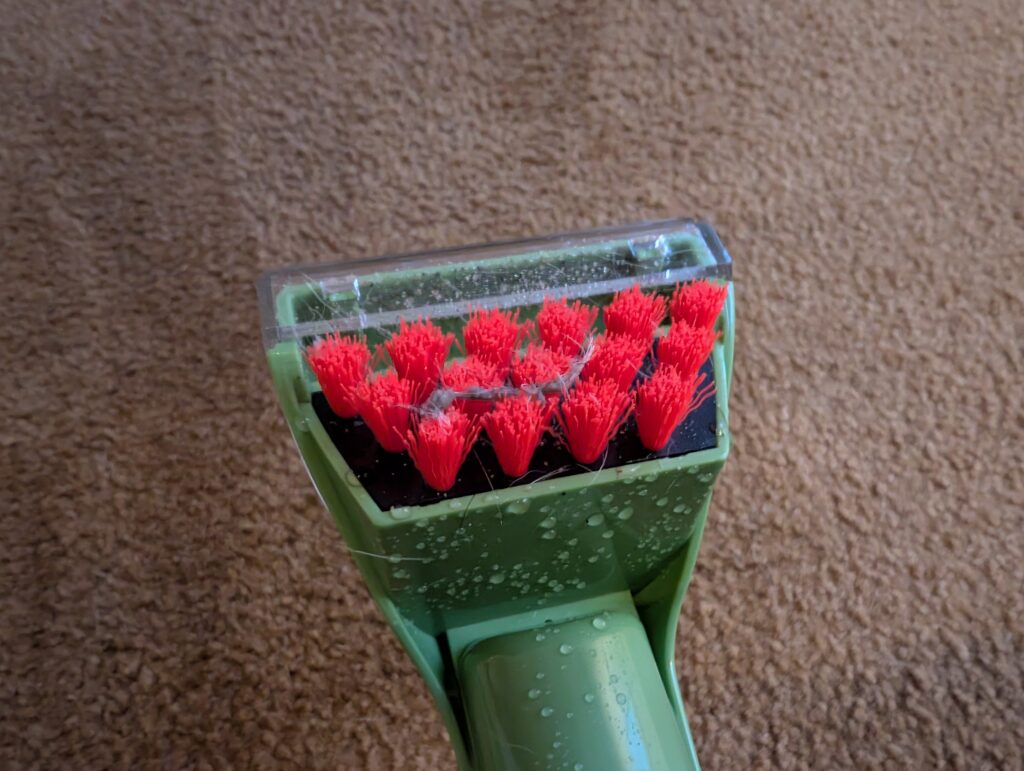 BISSELL Little Green Waschsauger Bürste während der Reinigung