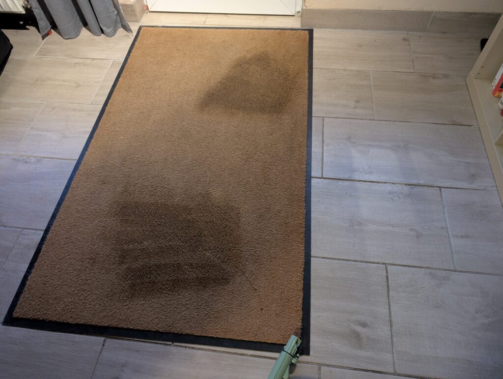 BISSELL Little Green Waschsauger Restfeuchte auf dem Teppich