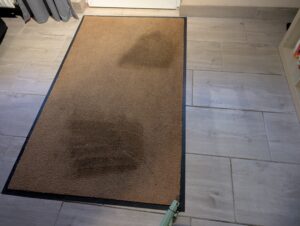 BISSELL Little Green Waschsauger Restfeuchte auf dem Teppich