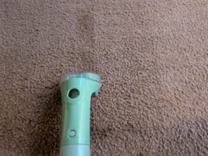 BISSELL Little Green Waschsauger Teppichreinigung