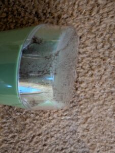 BISSELL Little Green Waschsauger beim Absaugen