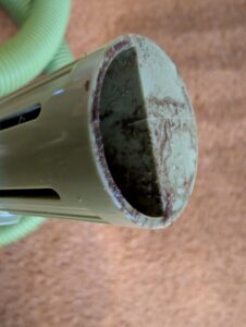 BISSELL Little Green Waschsauger nach dem Absaugen