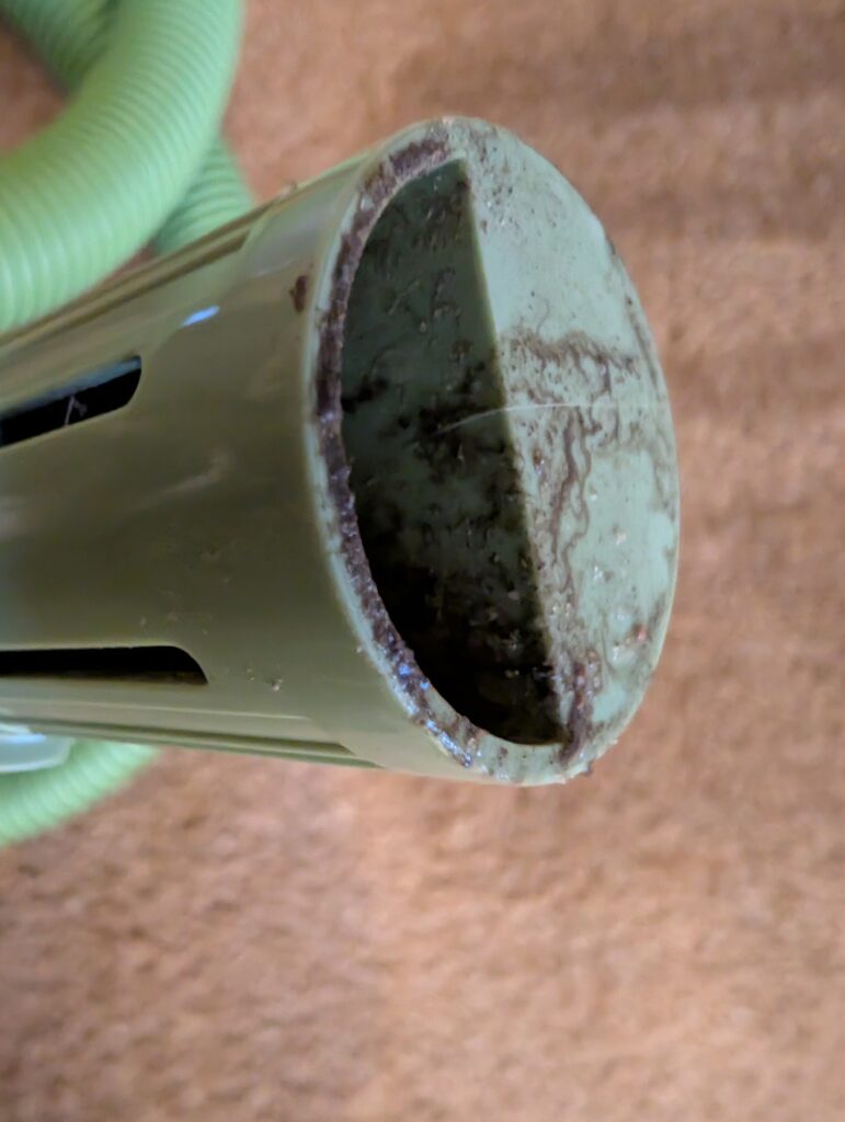 BISSELL Little Green Waschsauger nach dem Absaugen