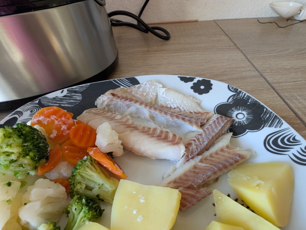 Cecotec Vapovita 3000 Inox Dampfgarer fertige Mahlzeit Detail