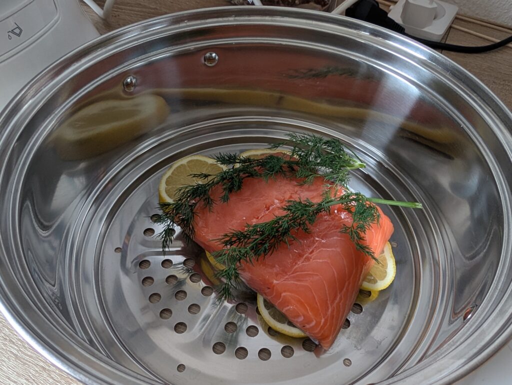 Dampfgarer Test Lachs vor der Zubereitung