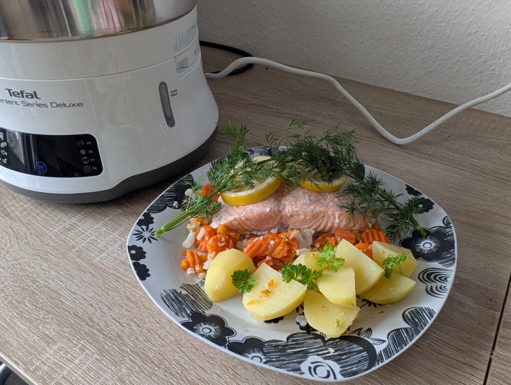 Dampfgarer Test Rezept 2 Lachs