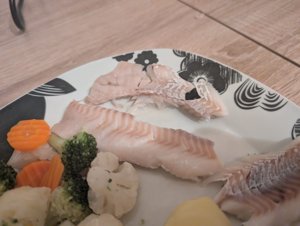 Russell Hobbs cook@home Dampfgarer Fisch Detail