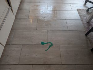 Scheppach SprayVac20 Waschsauger verschütteter Sirup