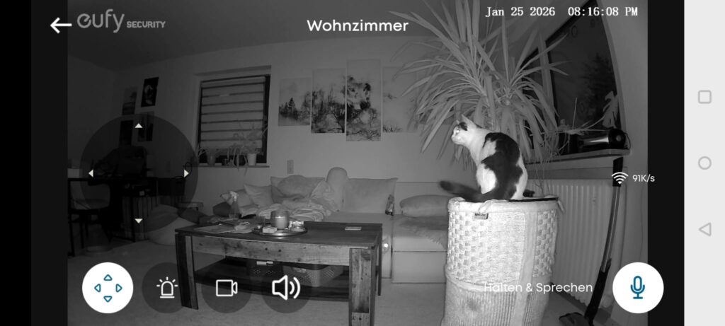 eufy E220 Überwachungskamera Haustiererkennung