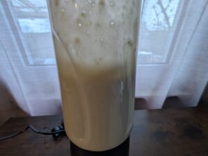 Bosch VitaPower Serie 2 Smoothie Maker Bananen Nuss Smoothie Beim Mixen