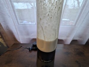 Bosch VitaPower Serie 2 Smoothie Maker Bananen Nuss Smoothie gemixt