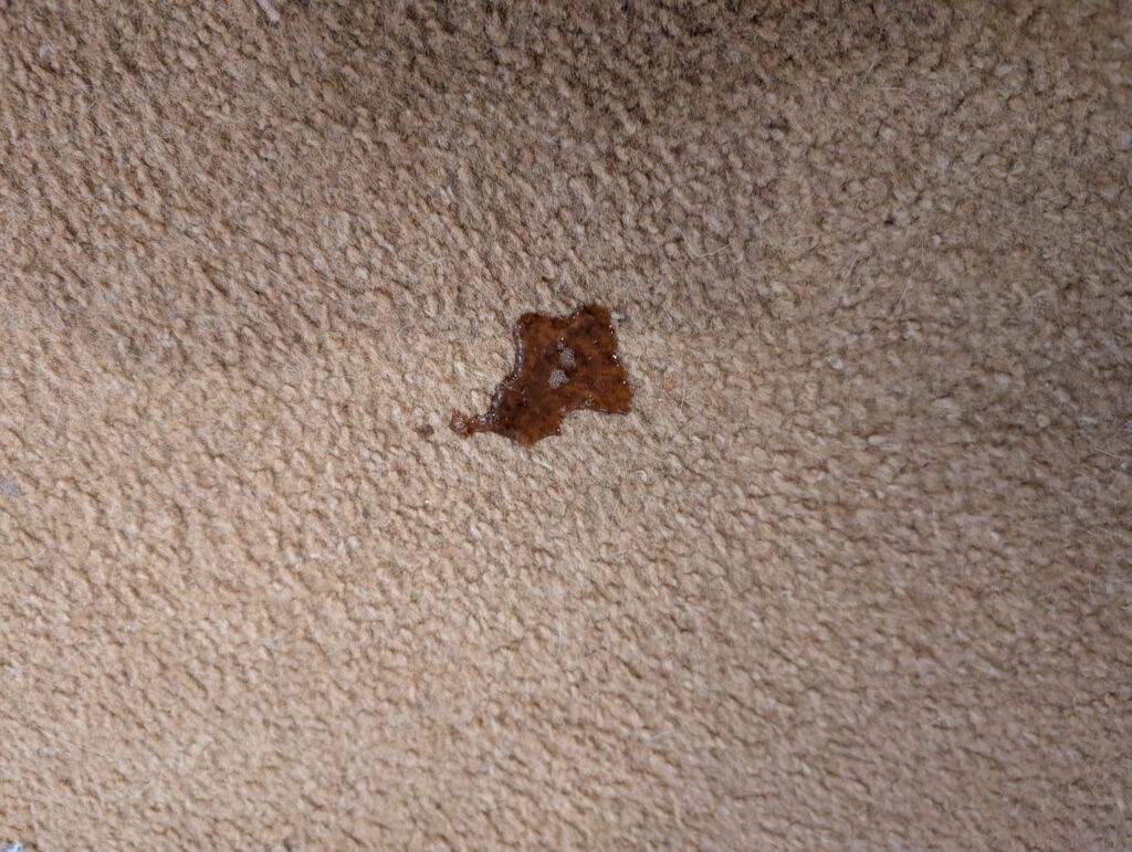 Eureka NEY100 Waschsauger Kaffeefleck auf Teppich