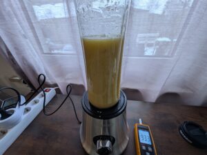 SEVERIN SM 3737 Smoothie Maker Obstsmoothie mixen