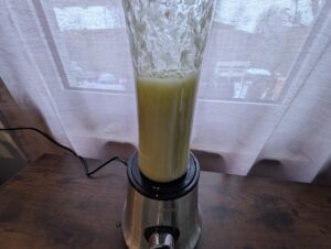 SEVERIN SM 3737 Smoothie Maker Selleriesmoothie beim Mixen