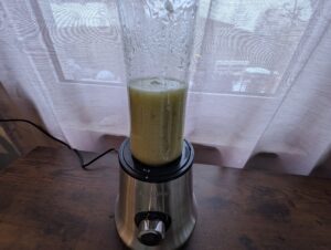 SEVERIN SM 3737 Smoothie Maker Selleriesmoothie gemixt