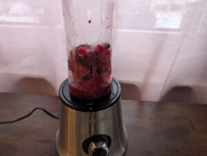 SEVERIN SM 3737 Smoothie Maker gefrorene Beeren Smoothie