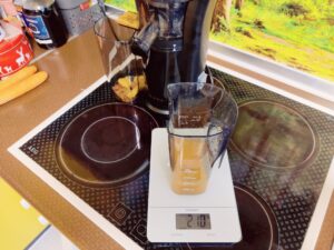 Klamer 150 Slow-Juicer Saftausbeute Orange