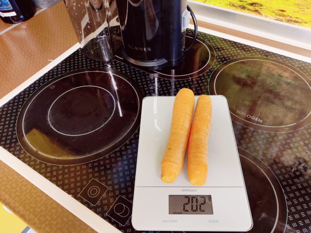 Klamer 150 Slow-Juicer Test mit Möhren