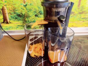 Klamer 150 Slow-Juicer Karotten im Entsafter