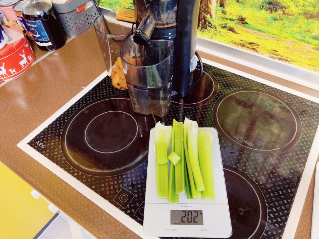 Klamer 150 Slow-Juicer Test mit Sellerie