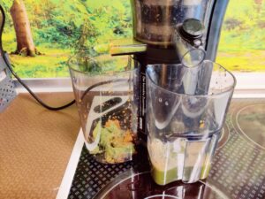 Klamer 150 Slow-Juicer Sellerie im Entsafter